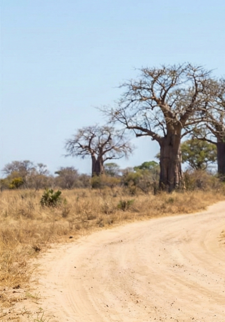 Gemini_Generated_Image_p0zscpp0zscpp0zs 5 1 scaled e1770463218539