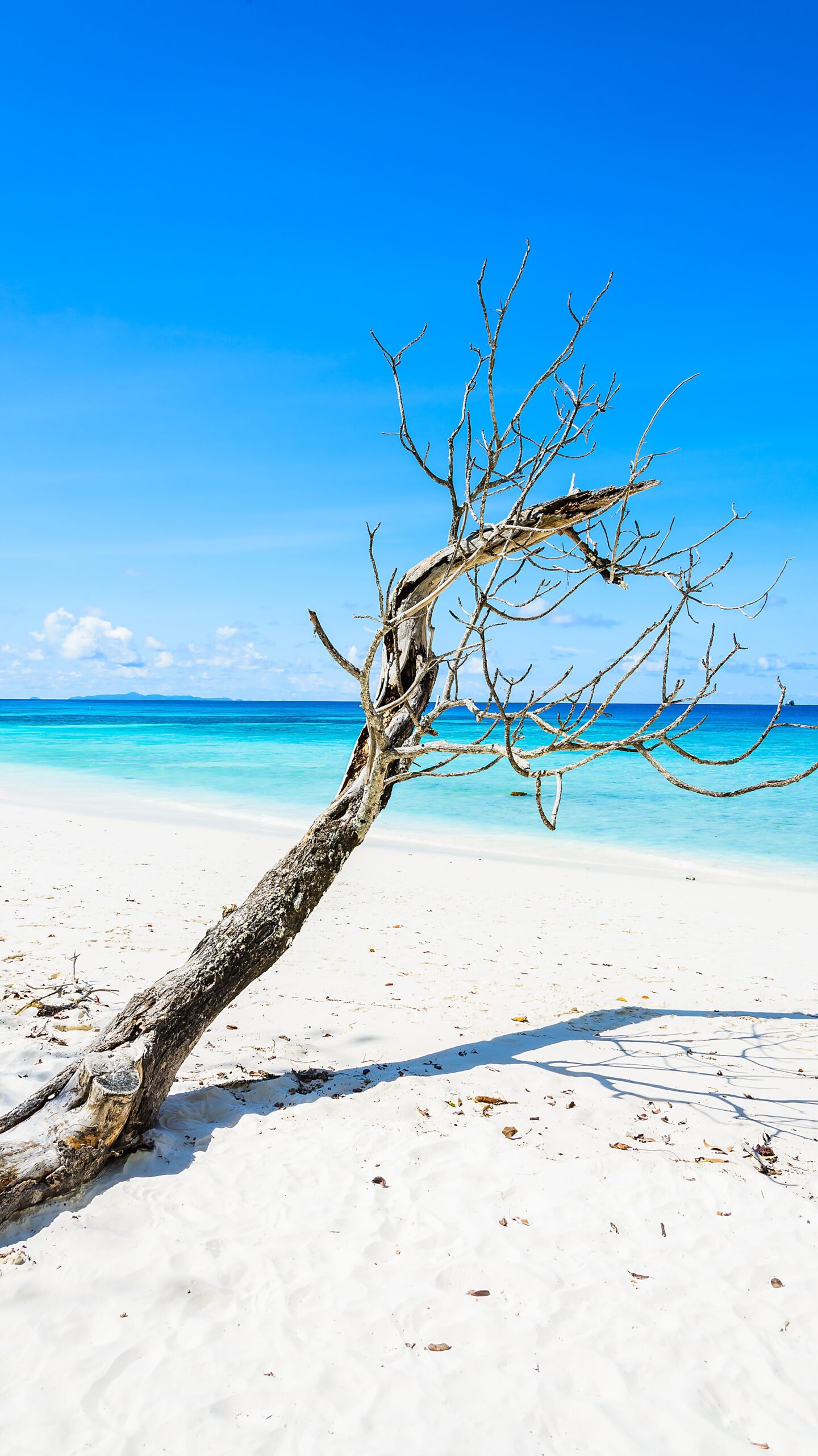 beautiful tropical beach scaled