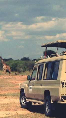 imgi_107_giraffes off road vehicle field against cloudy sky_1048944 5437116
