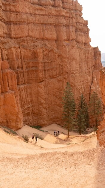 imgi_134_pathway surrounded by rock formations bryce canyon national park us_181624 48513